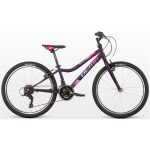bicykel-dema-iseo-24-dark-violet-2022